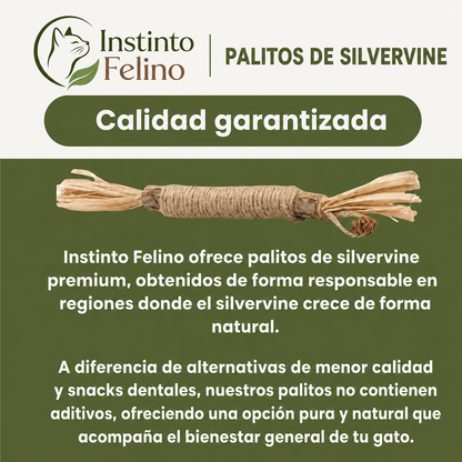 Palitos de Silvervine | Cuida sus Dientes y Calma la Ansiedad