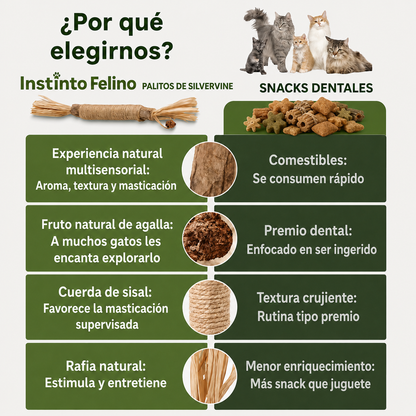 Palitos de Silvervine | Cuida sus Dientes y Calma la Ansiedad